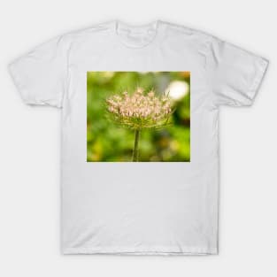 gli cilantro T-Shirt